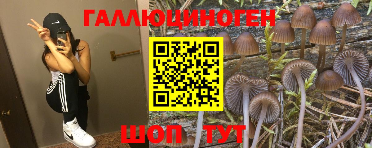 Галлюциногенные грибы MAGIC MUSHROOMS Пермь