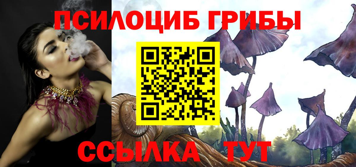 Галлюциногенные грибы Cubensis  Вход с VPN  Галлюциногенные грибы Psilocybine cubensis  Пермь 